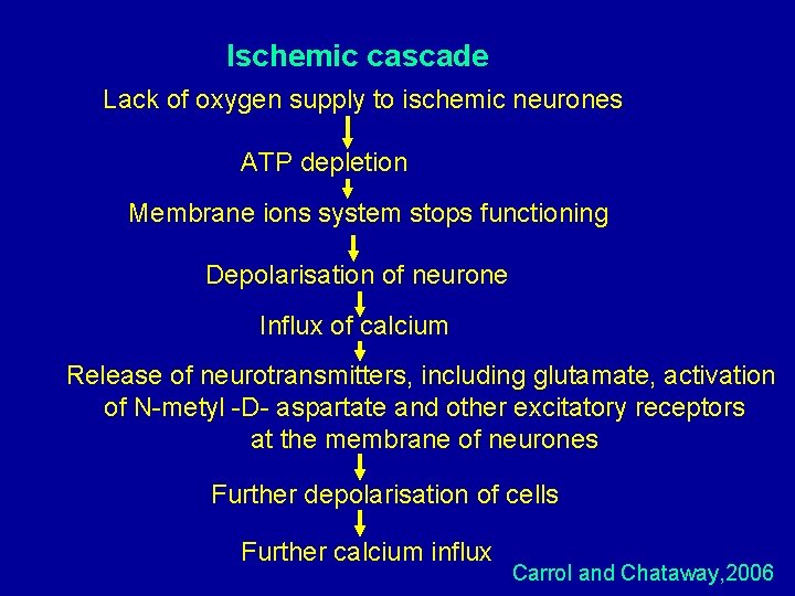 Ischemic cascade Lack of oxygen supply to ischemic neurones ATP depletion Membrane ions system