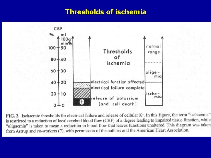 Thresholds of ischemia 
