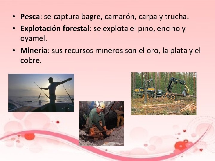  • Pesca: se captura bagre, camarón, carpa y trucha. • Explotación forestal: se