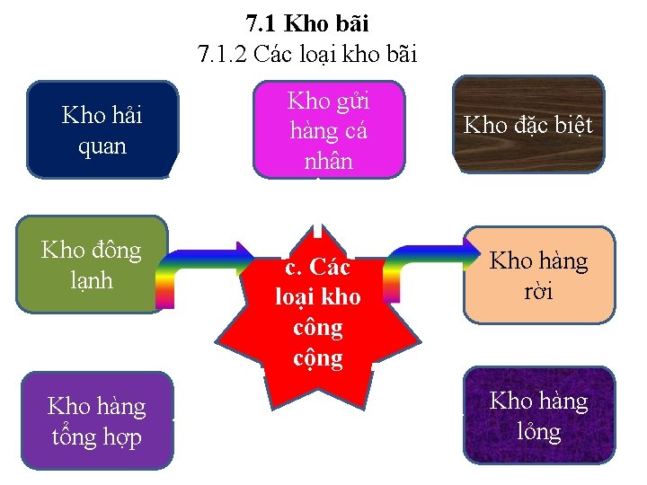 7. 1 Kho bãi 7. 1. 2 Các loại kho bãi Kho hải quan