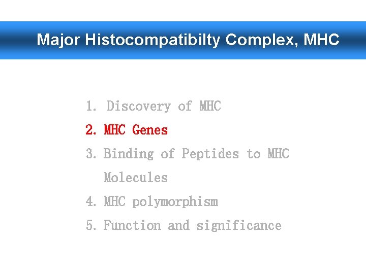 Major Histocompatibilty Complex, MHC 1. Discovery of MHC 2. MHC Genes 3. Binding of