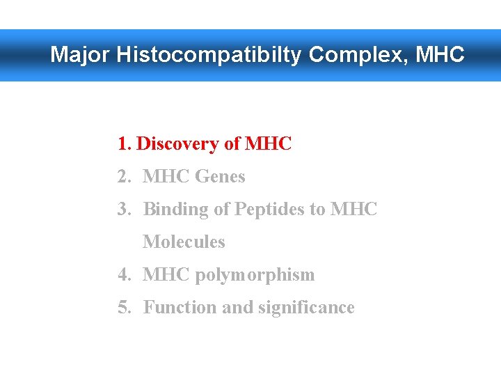 Major Histocompatibilty Complex, MHC 1. Discovery of MHC 2. MHC Genes 3. Binding of