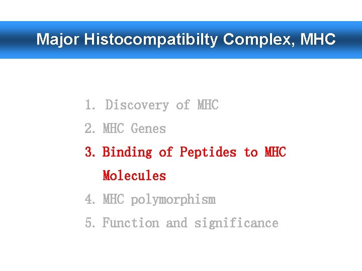 Major Histocompatibilty Complex, MHC 1. Discovery of MHC 2. MHC Genes 3. Binding of