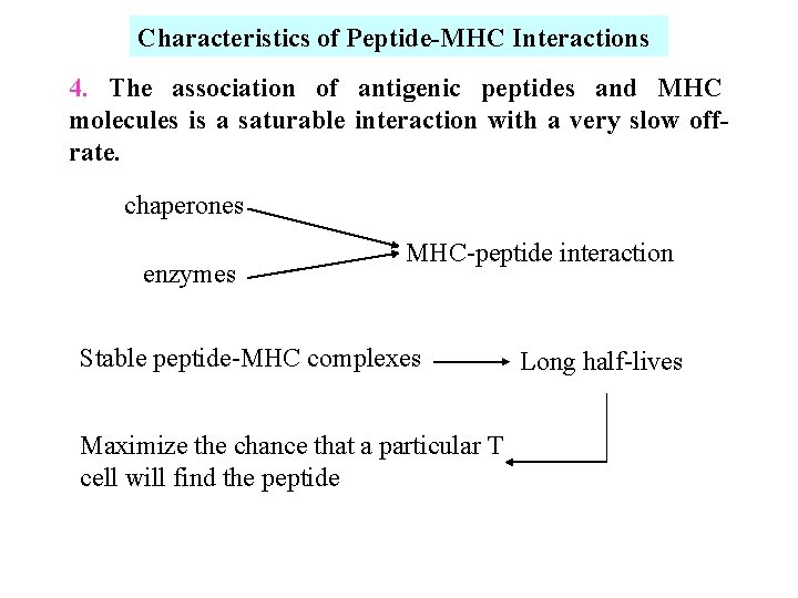 Characteristics of Peptide-MHC Interactions 4. The association of antigenic peptides and MHC molecules is