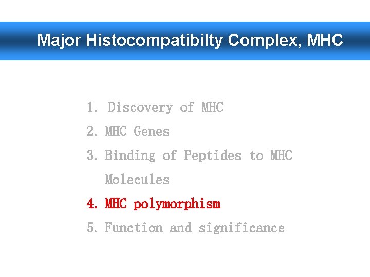 Major Histocompatibilty Complex, MHC 1. Discovery of MHC 2. MHC Genes 3. Binding of