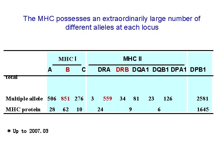 The MHC possesses an extraordinarily large number of different alleles at each locus MHC