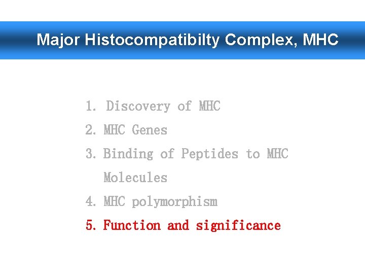 Major Histocompatibilty Complex, MHC 1. Discovery of MHC 2. MHC Genes 3. Binding of