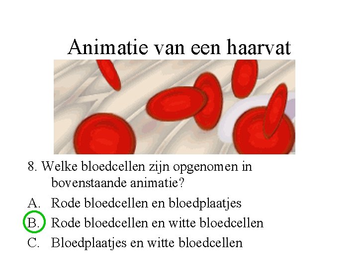Animatie van een haarvat 8. Welke bloedcellen zijn opgenomen in bovenstaande animatie? A. Rode