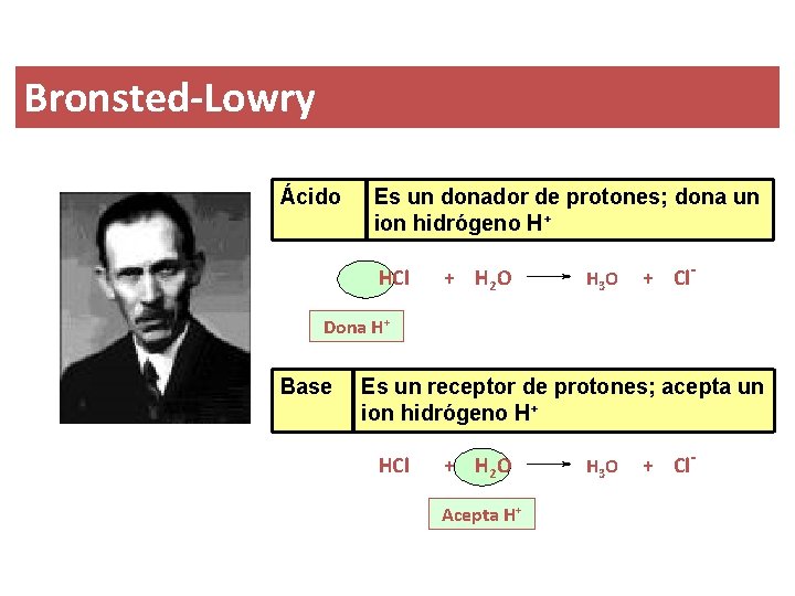 Bronsted-Lowry Ácido Es un donador de protones; dona un ion hidrógeno H+ HCl +