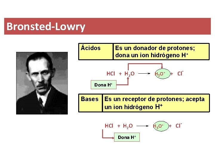 Bronsted-Lowry Ácidos Es un donador de protones; dona un ion hidrógeno H+ HCl +