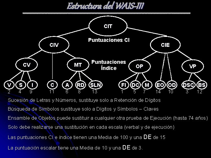 Estructura del WAIS-III CIT Puntuaciones CI CIV CV MT Puntuaciones Índice V S I