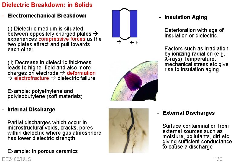 Dielectric Breakdown: in Solids - Electromechanical Breakdown (i) Dielectric medium is situated between oppositely