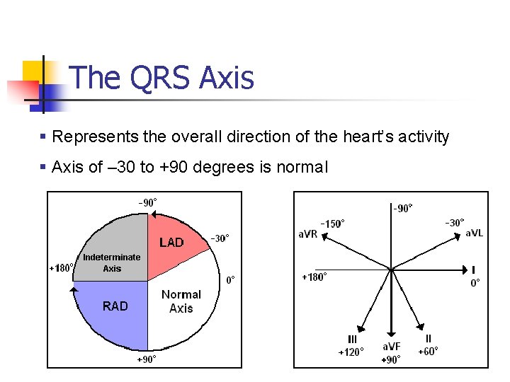 The QRS Axis § Represents the overall direction of the heart’s activity § Axis