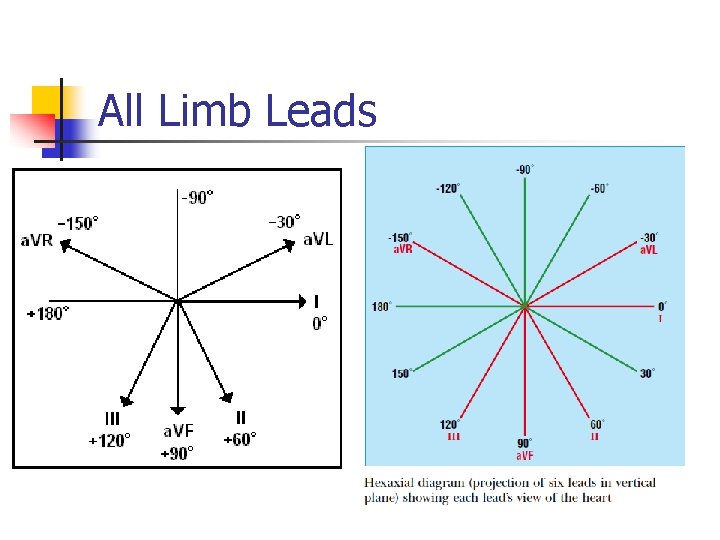 All Limb Leads 