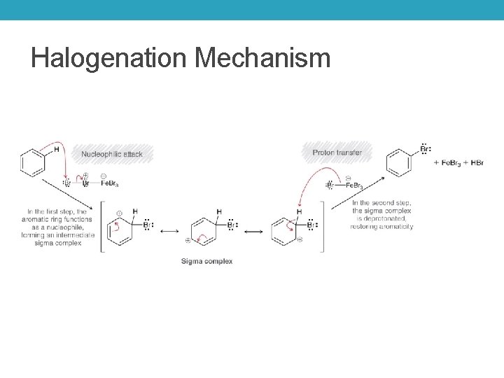 Halogenation Mechanism 