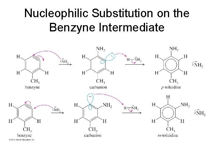 Nucleophilic Substitution on the Benzyne Intermediate 