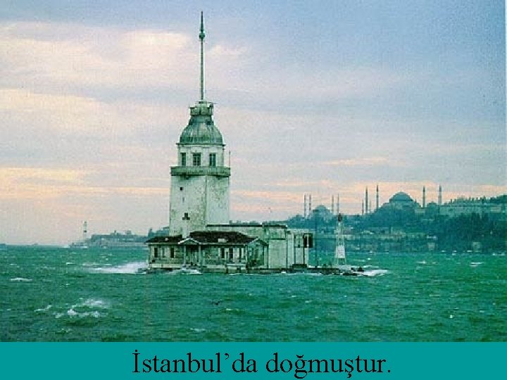 İstanbul’da doğmuştur. 
