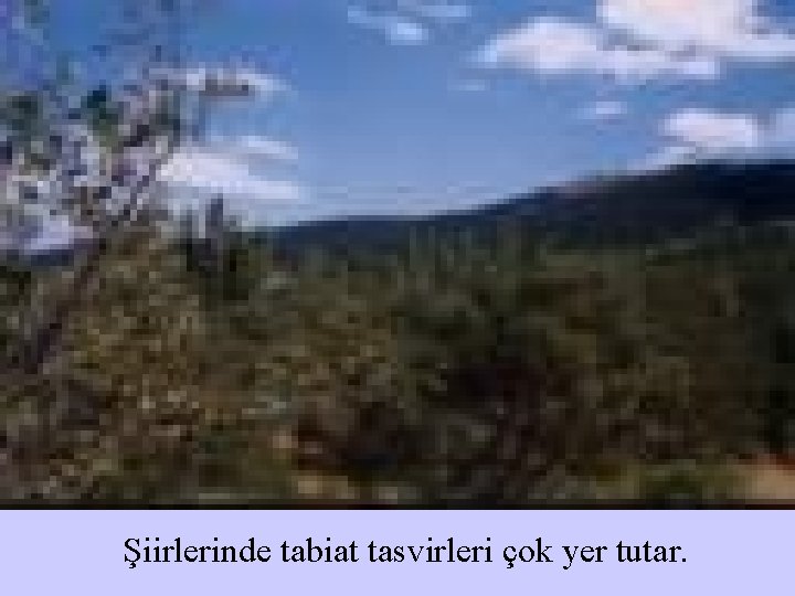 Şiirlerinde tabiat tasvirleri çok yer tutar. 