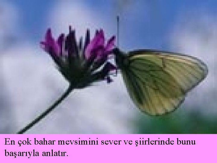 En çok bahar mevsimini sever ve şiirlerinde bunu başarıyla anlatır. 
