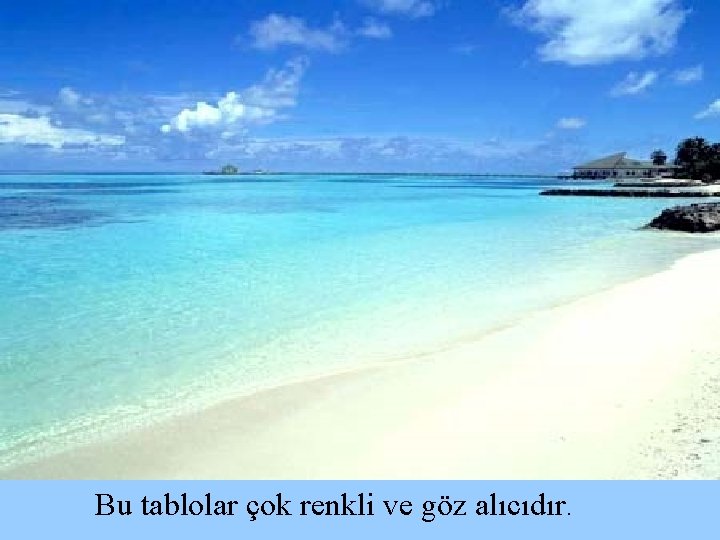 Bu tablolar çok renkli ve göz alıcıdır. 