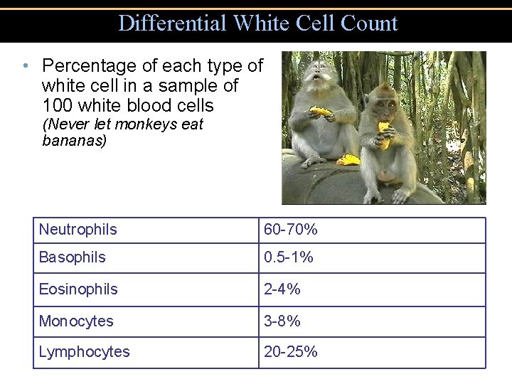 Differential White Cell Count • Percentage of each type of white cell in a