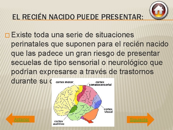 EL RECIÉN NACIDO PUEDE PRESENTAR: � Existe toda una serie de situaciones perinatales que