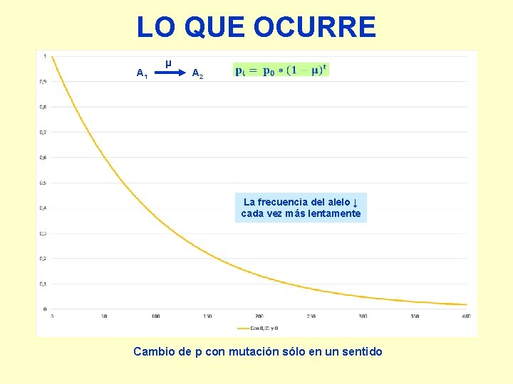 LO QUE OCURRE A 1 µ A 2 La frecuencia del alelo ↓ cada