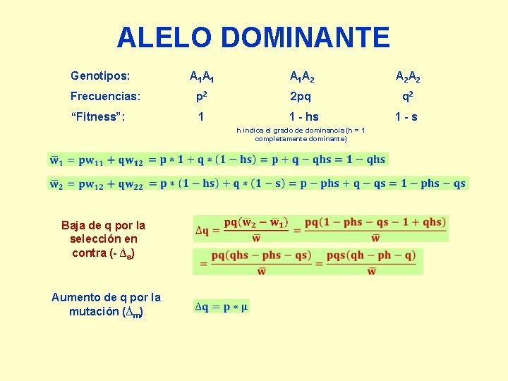 ALELO DOMINANTE Genotipos: A 1 A 1 A 2 A 2 Frecuencias: p 2