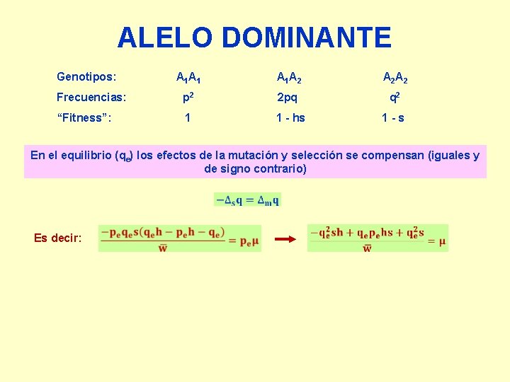 ALELO DOMINANTE Genotipos: A 1 A 1 A 2 A 2 Frecuencias: p 2