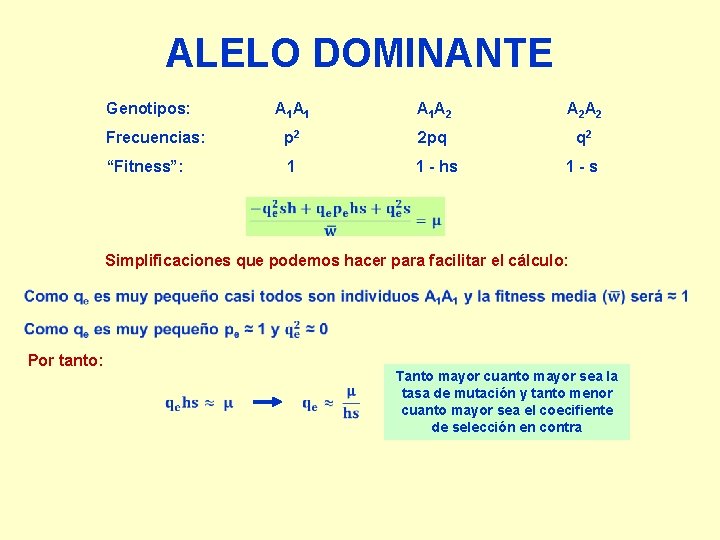 ALELO DOMINANTE Genotipos: A 1 A 1 A 2 A 2 Frecuencias: p 2