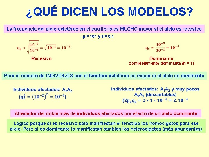 ¿QUÉ DICEN LOS MODELOS? La frecuencia del alelo deletéreo en el equilibrio es MUCHO