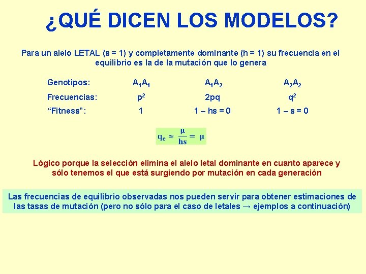 ¿QUÉ DICEN LOS MODELOS? Para un alelo LETAL (s = 1) y completamente dominante