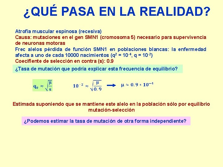 ¿QUÉ PASA EN LA REALIDAD? Atrofia muscular espinosa (recesiva) Causa: mutaciones en el gen