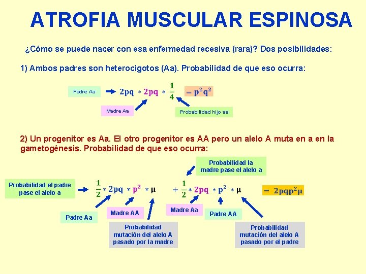 ATROFIA MUSCULAR ESPINOSA ¿Cómo se puede nacer con esa enfermedad recesiva (rara)? Dos posibilidades: