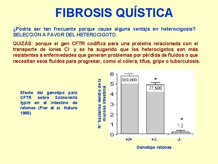 FIBROSIS QUÍSTICA ¿Podría ser tan frecuente porque cause alguna ventaja en heterocigosis? SELECCIÓN A