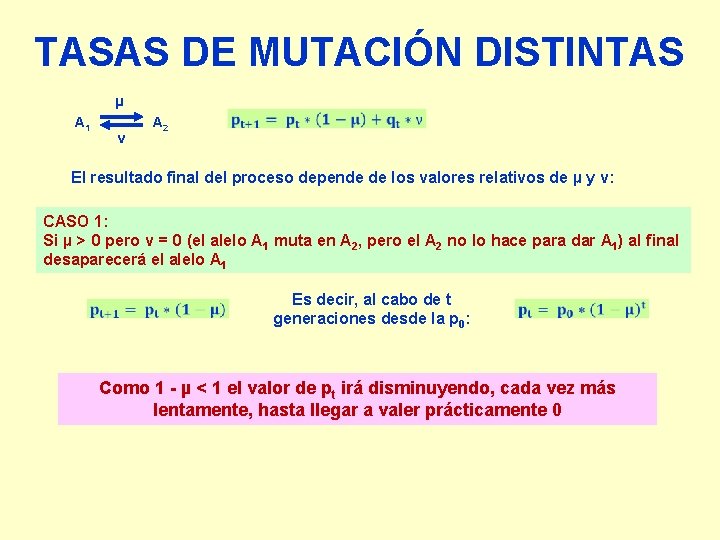 TASAS DE MUTACIÓN DISTINTAS µ A 1 ν A 2 El resultado final del