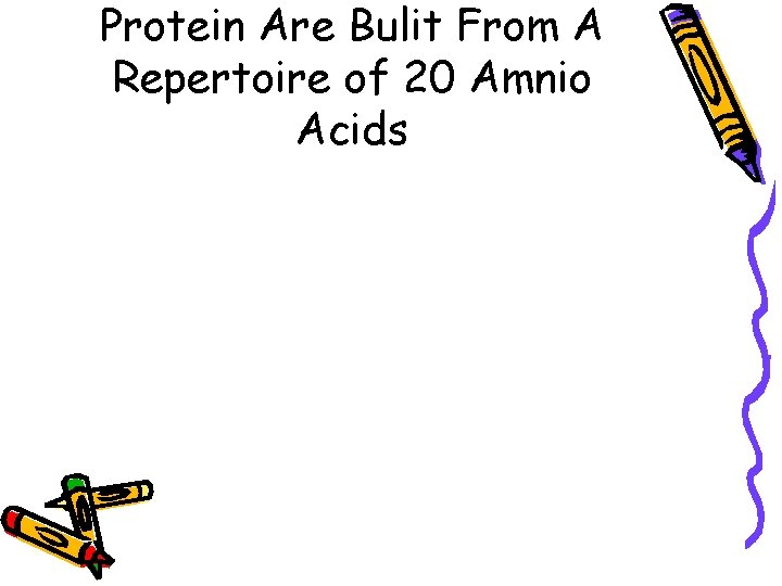 Protein Are Bulit From A Repertoire of 20 Amnio Acids 