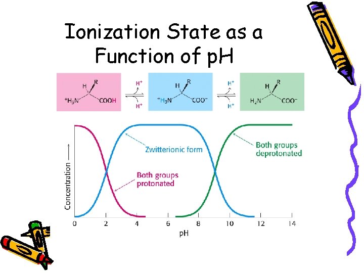 Ionization State as a Function of p. H 