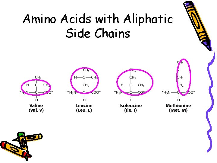 Amino Acids with Aliphatic Side Chains 