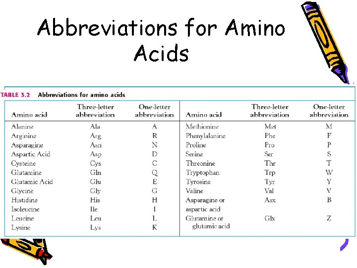 Abbreviations for Amino Acids 