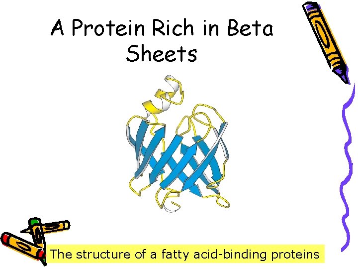 A Protein Rich in Beta Sheets The structure of a fatty acid-binding proteins 
