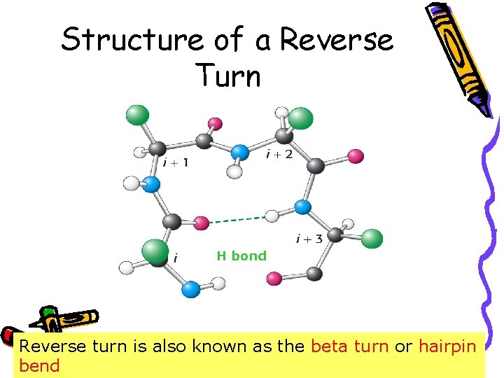 Structure of a Reverse Turn H bond Reverse turn is also known as the