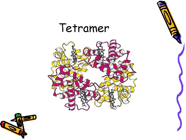 Tetramer 