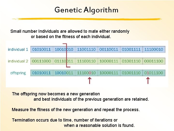 Genetic Algorithm Small number Individuals are allowed to mate either randomly or based on