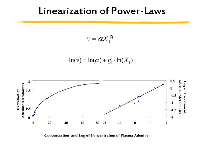 Linearization of Power-Laws 