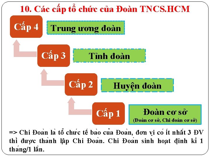 10. Các cấp tổ chức của Đoàn TNCS. HCM Cấp 4 Trung ương đoàn