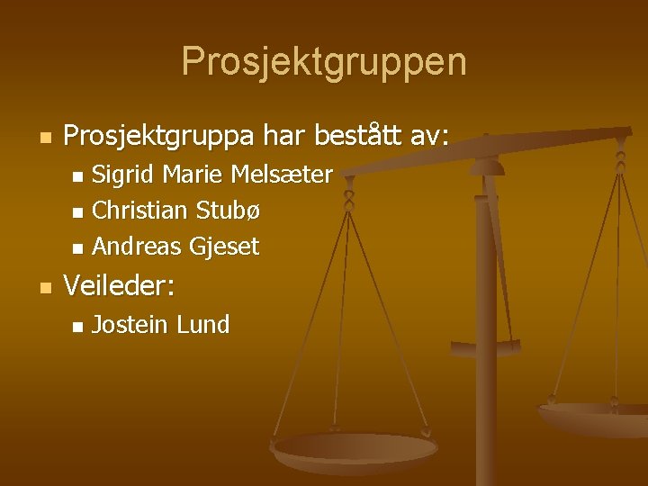 Prosjektgruppen n Prosjektgruppa har bestått av: Sigrid Marie Melsæter n Christian Stubø n Andreas