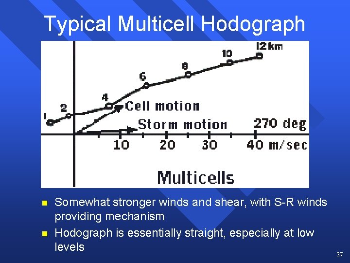 Typical Multicell Hodograph n n Somewhat stronger winds and shear, with S-R winds providing