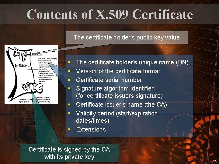 Contents of X. 509 Certificate The certificate holder’s public key value § § The