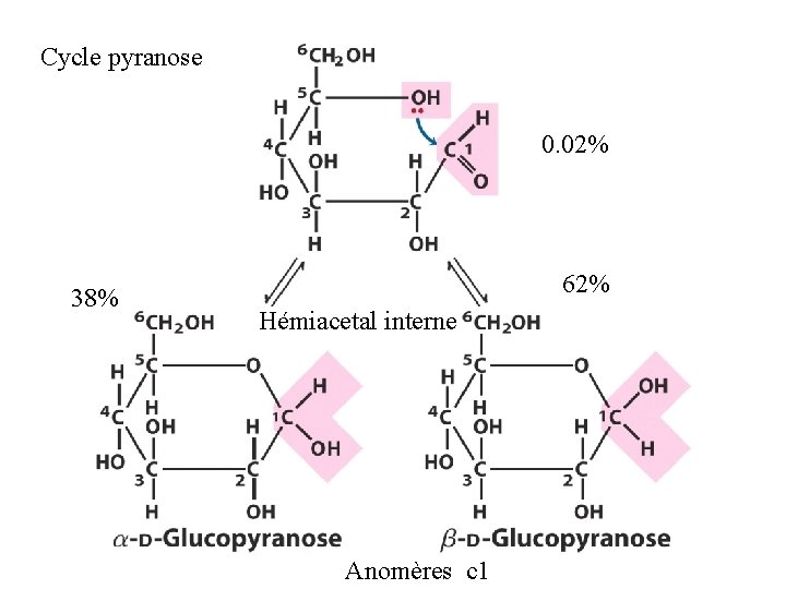 Cycle pyranose 0. 02% 38% 62% Hémiacetal interne Anomères c 1 